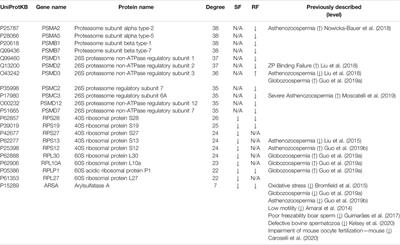 Bioinformatic Approach to Unveil Key Differentially Expressed Proteins in Human Sperm After Slow and Rapid Cryopreservation